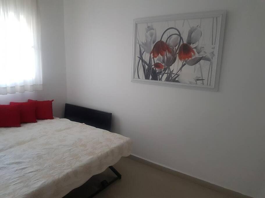 La-Palmore Luxury Apart-Residense Resort With Pool First Line Sea Side 埃拉特 外观 照片